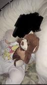 My little girls beloved ted that shes had since birth has been lost after 5 year