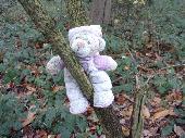 White and pink "Goodnight Bear". The bear is waiting in the woods to be collecte