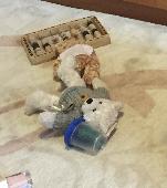 My daughter lost her little bear (soft toy) in Battersea park and it is dear to 