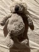 Found at approx 1.45pm today a small Jellycat Koala bear