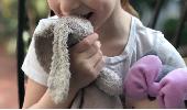 Please help, my daughters beloved “nana” was left in a car rental and has not be