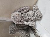 Traveling north on the M6 we stopped at Lancaster services. Rabbit Jellycat Tedd