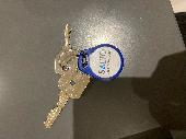 Two silver keys - one large, one small - with a blue circular fob 'SALTO'. 07846
