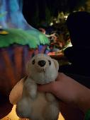 Lost my son's stuffed polar bear, Poley. He's over 43 years old. We think he got