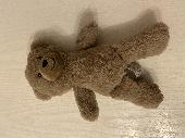 Found the bear in a puddle at a crossing near Deansgate North.