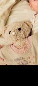 Small Teddy bear (around 8inch) wearing a little nightgown that reads Snuggle Bu