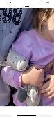 Lost Zebra teddy comforter. Last seen taken to crib service at 3pm on Christmas