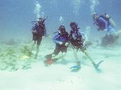 My son lost his blue fujifilm camera while at a Seabase. Lots of scuba diving pi