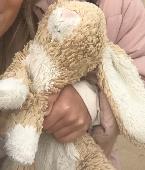 A brown and white Jellycat bunny was left on the 138 bus last Thursday 19th Jan 