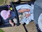 Our 16month old has lost her very love mother care Morgan mouse. Was originally 