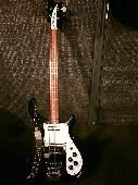 My Rickenbacker bass guitar in black colour (serial number D4 8488) was stolen a