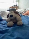 I lost my childhood stuffed animal 8 years ago at the Lima, Perú airport and eve