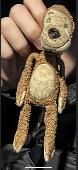 £100 reward my Daughters Monkey she has had for 14 years was lost at Cambridge s