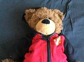 Update - Still searching …. My son left his beloved TeddyB on the Delta Flight D