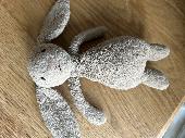 Found a small jellycat bunny whilst walking up Moel Famau around 2.30pm, Good Fr