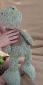 Pale green frog 