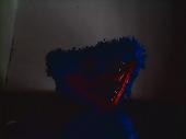 Found a blue cuddly toy with goggly eyes and yellow feet on the coastal path at 