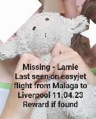 Hi I am wondering if you can help me please. I have attached a photo of the miss