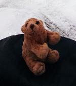 REWARD PROMISED!!! Lost this dear little about 10 cm tall brown Bukowski labeled