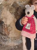 We lost our Daughter's favorite stuffed mouse with a red dress on the beach. If