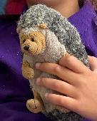 A very precious hedgehog and emotionally supportive best friend lost and heartbr