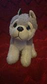 A toy dog found beside the road on the A354 heading out of Blandford towards Dor