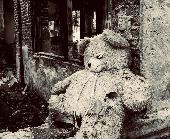 large orphaned teddy found abandoned in a field in the southwest UK,potentially 