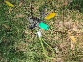 Set of keys found on Hampstead Heath, green keychain