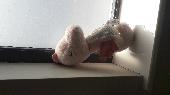 This adorable pink seahorse is on the window ledge at the Hockley Medical Practi