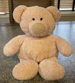 Hello, my sister lost her beloved teddy bear over 10 years ago (February 2011) a