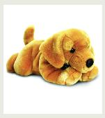 Lost! Monty dog - keels toys. Possibly at Heathrow Airport. He’s a stuffed golde