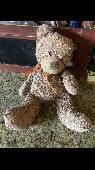 Hi everyone! This might sound a little crazy for asking help to find this teddy