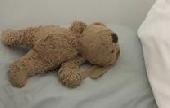 We lost “Eddy” my daughters first teddy. He is 13 years old. He is well worn and