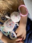 We left my daughter's favorite stuffed animal in an Uber in Chicago going from t