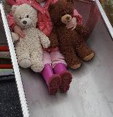 Brown teddy, 8 years old the same age as his owner. Lost somewhere between Edinb