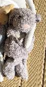 Beloved Bunny- missing 28th July 2023 at Place de Terraux or Rue Paul Chenavard 