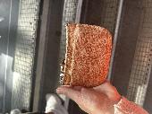 Small orange purse