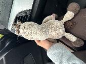 Found a horse/ pony teddy in the car park at Warick Services south bound M40 sta