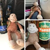 Small Slackajack monkey wearing a green gilet
