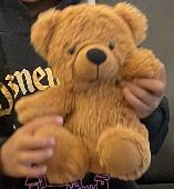My daughter left this teddy bear by the kids play area near gate 18 and starbuck