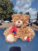 Teddy bear found 10.30 in the morning at corner of Priory St Jacob/Wincheap Road