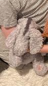 My nephew has lost his eeyore plush toy that he’s had since he was a baby. It’s 