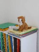 We lost our beloved Roux, a plush cat with ginger and white fur, and cute smile,