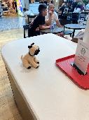 Seen in the Starbucks in Bristol airport. 