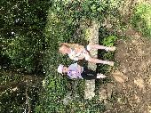 My daughter let go of her purple teddy bear and it flew out of the window when o