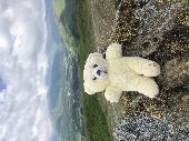 Lost our little yellow bear- travelling companion at the security scanners at Al