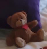 Hi, our teddybear must have remained under the bed in our cabin (n° 11603) of th