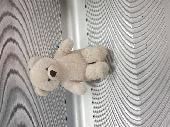 Found on a bench by Bay 58, Southern Cross bus terminal, Spencer Street, Melbour