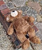 Found on wall outside my house today Sept 30th. Taken him in for the night and m