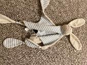 Ragged version of this bunny, which is irreplaceable and desperately loved - los
